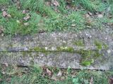 image of grave number 198339